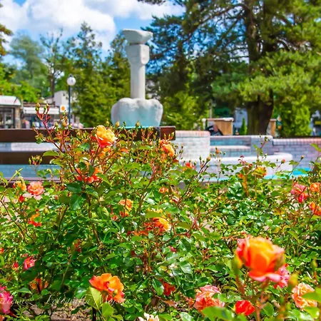 Maryla Bis - Pokoje I Apartamenty Z Aneksami