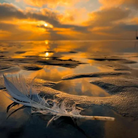 Maryla Bis Ostrowo (Puck)