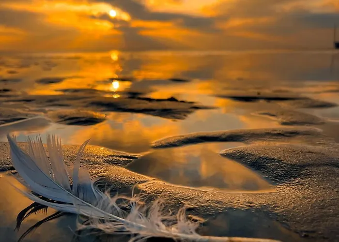 Maryla Bis - Pokoje I Apartamenty Z Aneksami أوستروفو